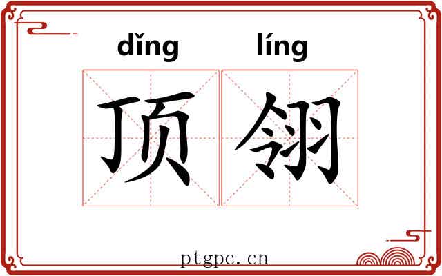 顶翎