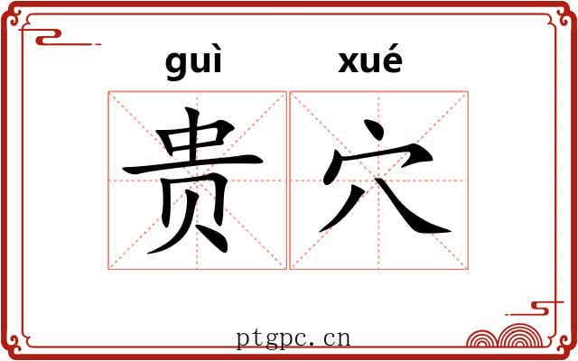 贵穴