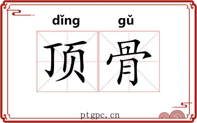 顶骨