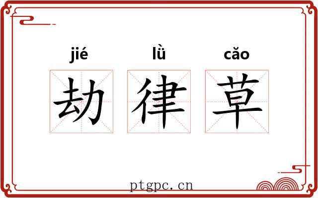 劫律草