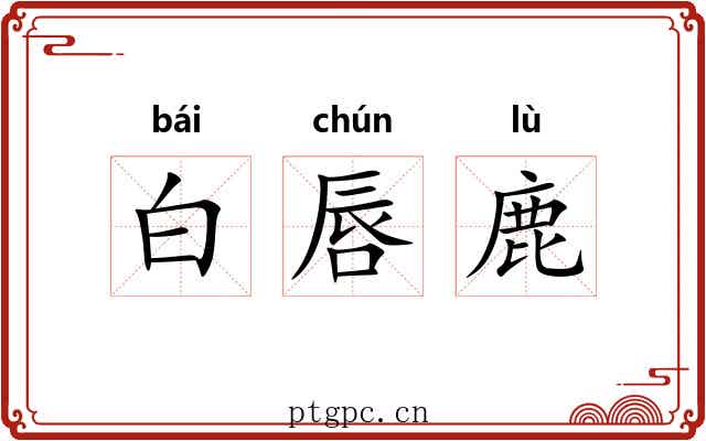 白唇鹿