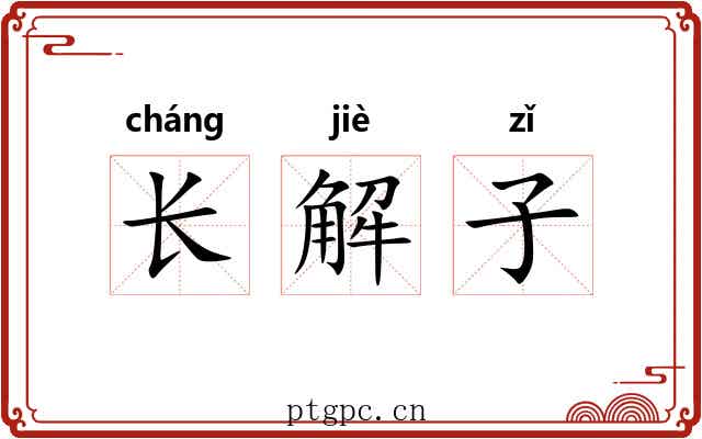 长解子