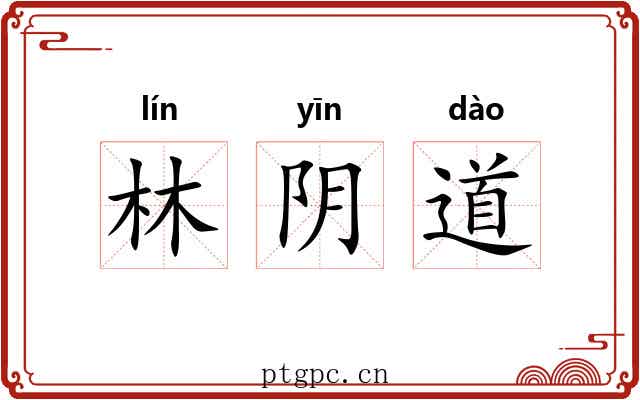 林阴道