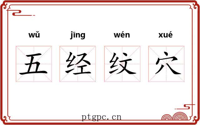 五经纹穴