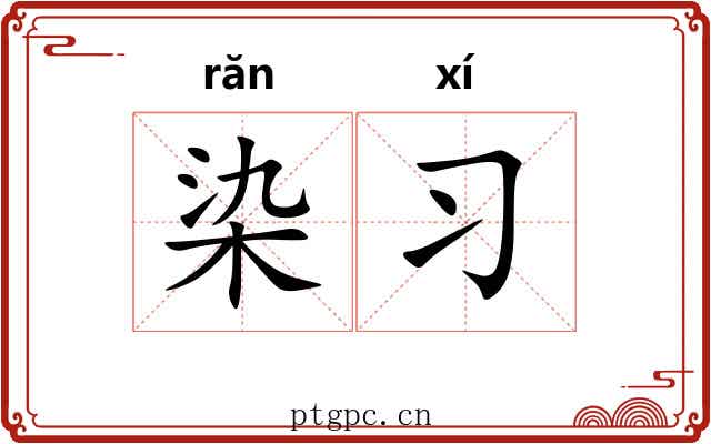 染习