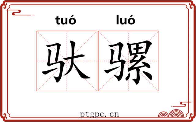 驮骡