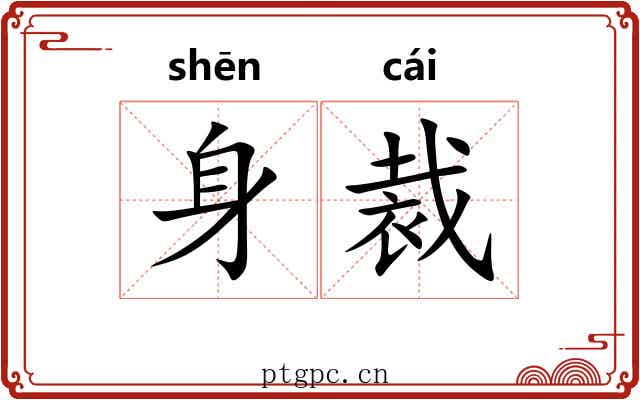 身裁 身裁