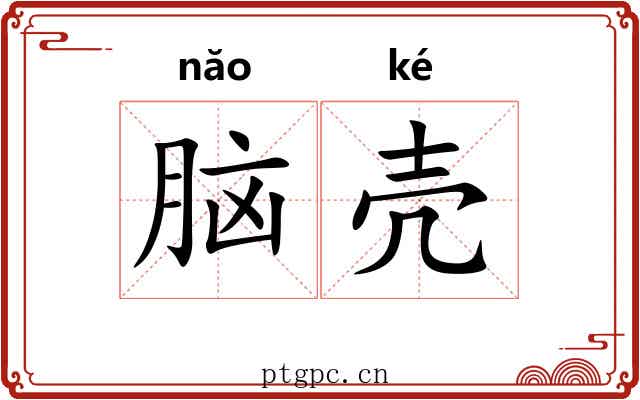 脑壳