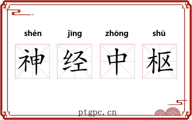 神经中枢