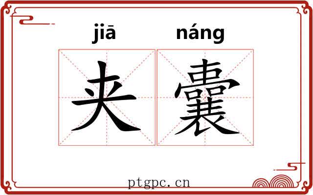 夹囊