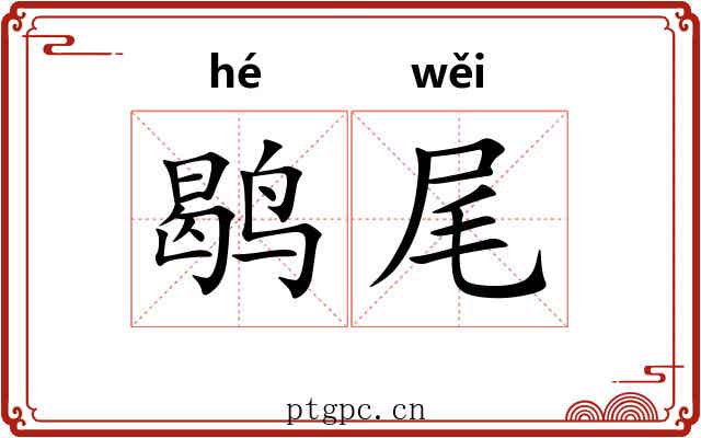 鹖尾