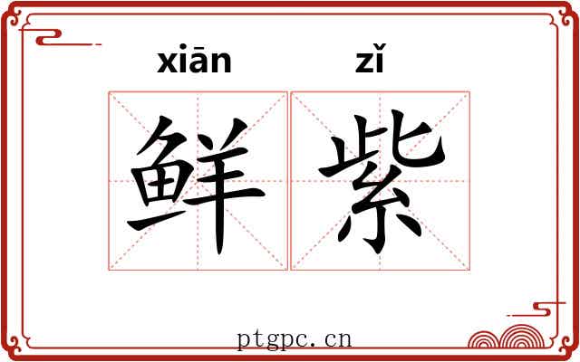 鲜紫 鲜紫