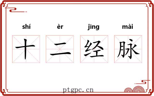 十二经脉