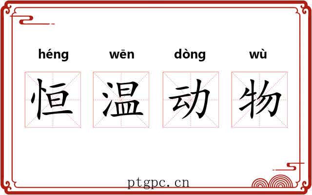 恒温动物