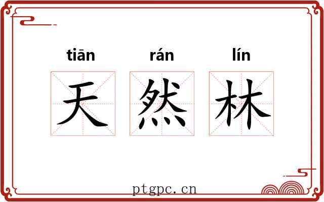 天然林 天然林