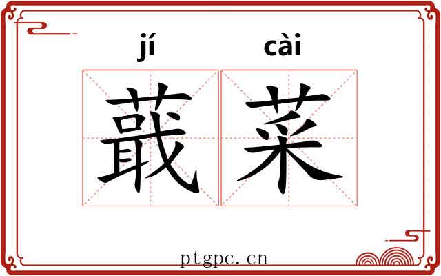 蕺菜 蕺菜