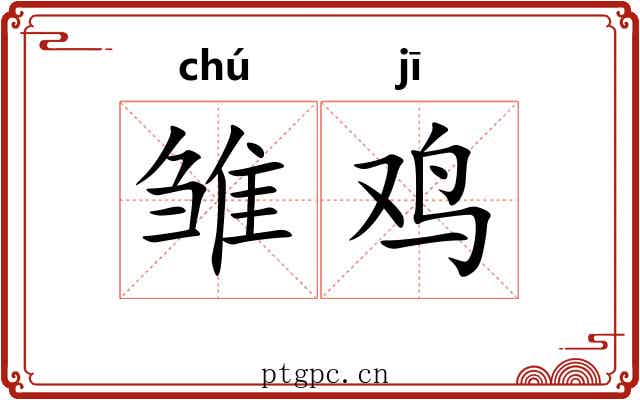 雏鸡