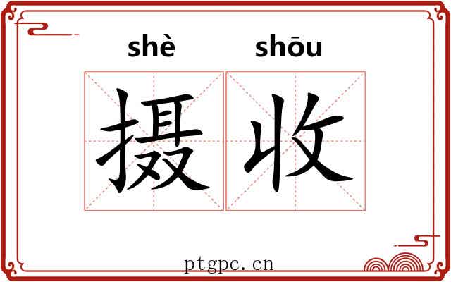 摄收