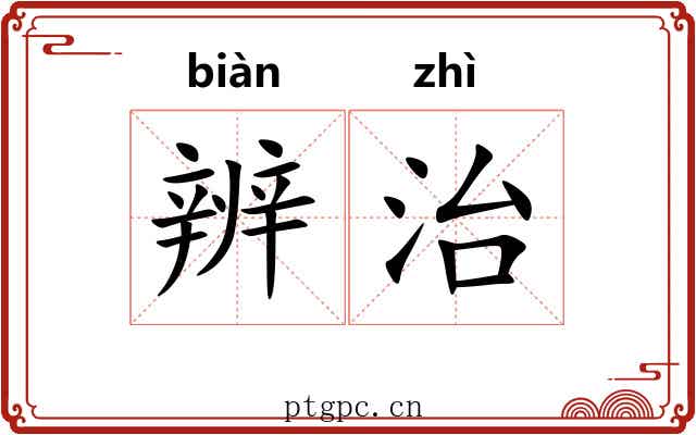 辨治