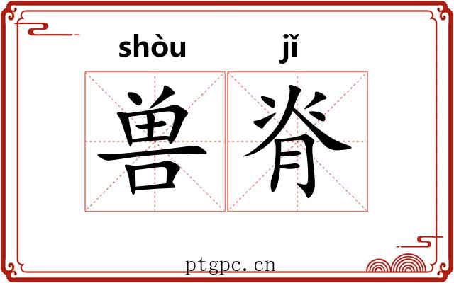 兽脊