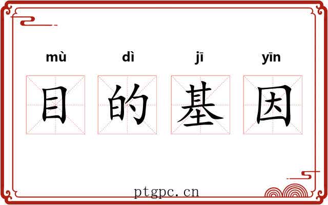 目的基因 目的基因