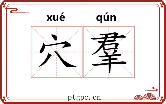 穴羣 穴羣