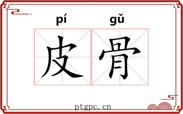 皮骨 皮骨