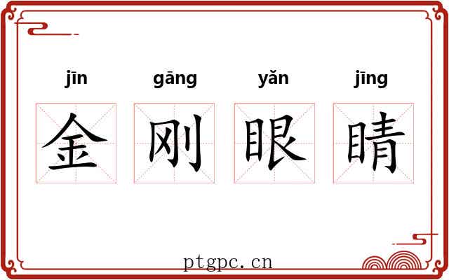 金刚眼睛 金刚眼睛