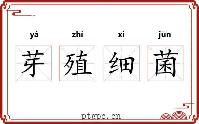 芽殖细菌 芽殖细菌