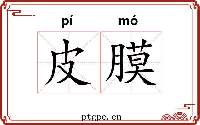 皮膜
