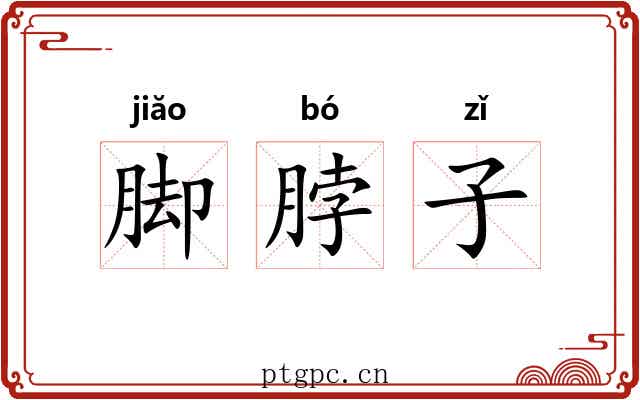 脚脖子