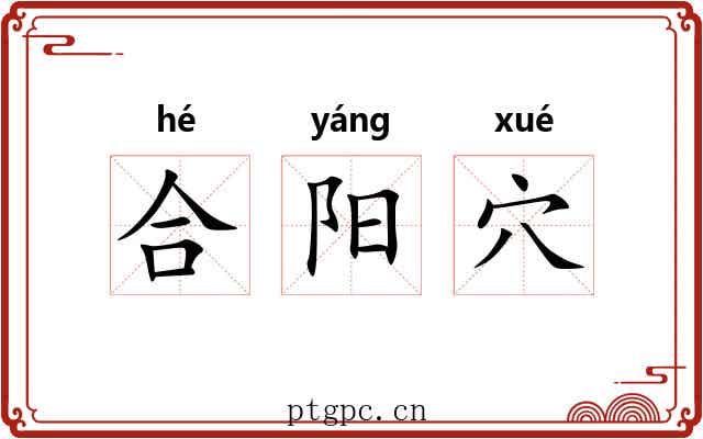 合阳穴