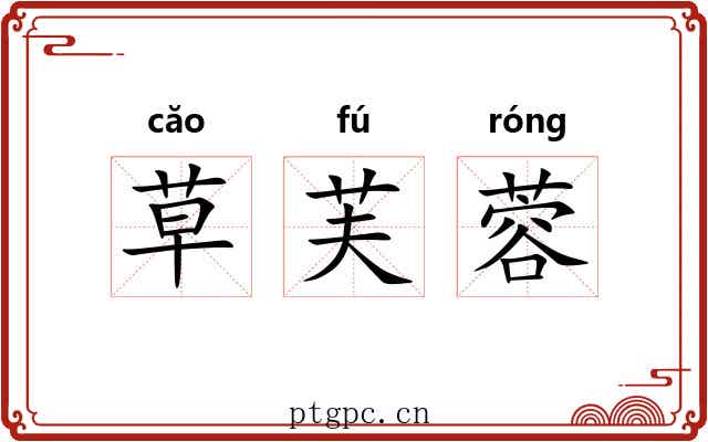 草芙蓉