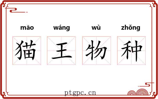 猫王物种