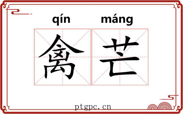 禽芒