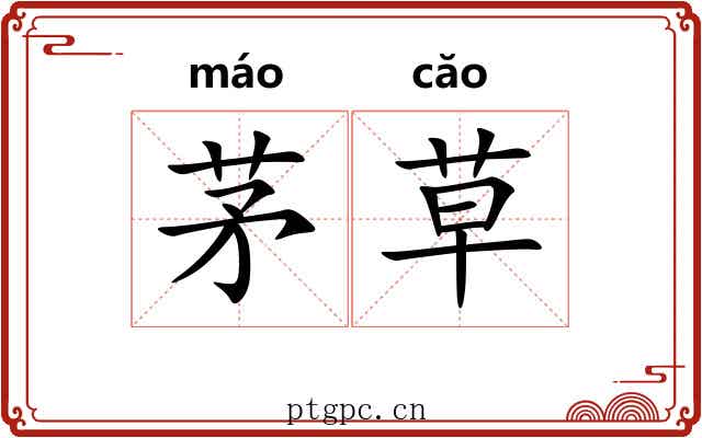 茅草 茅草
