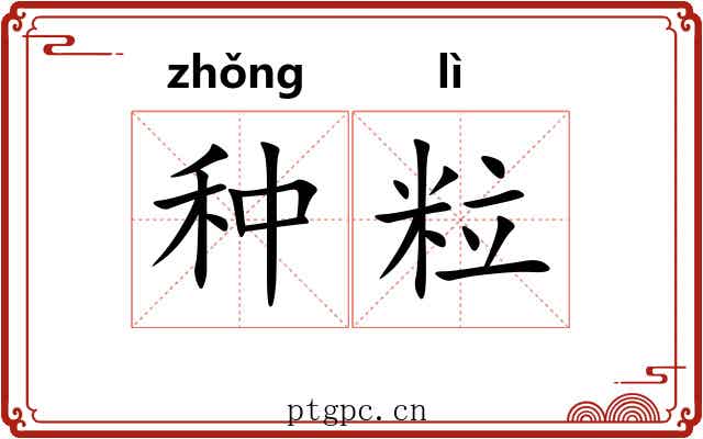 种粒 种粒