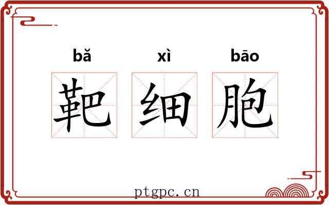靶细胞
