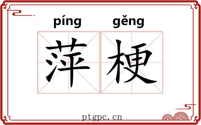 萍梗