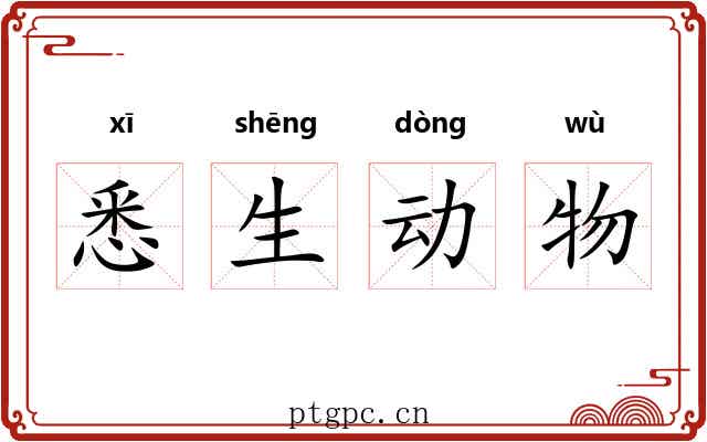 悉生动物 悉生动物