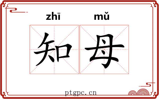 知母 知母
