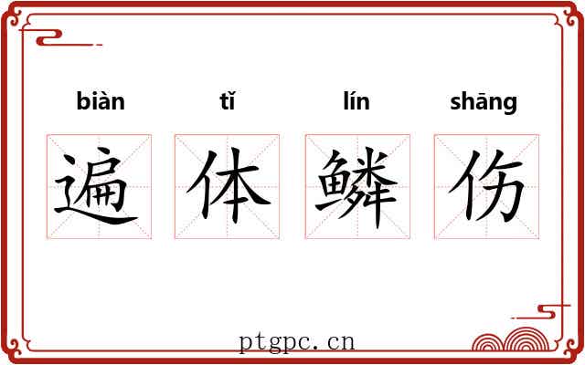 遍体鳞伤 遍体鳞伤