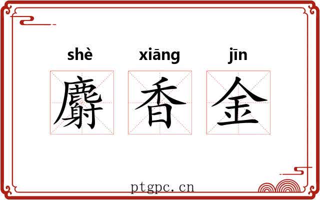 麝香金
