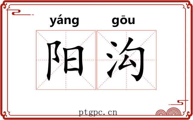 阳沟
