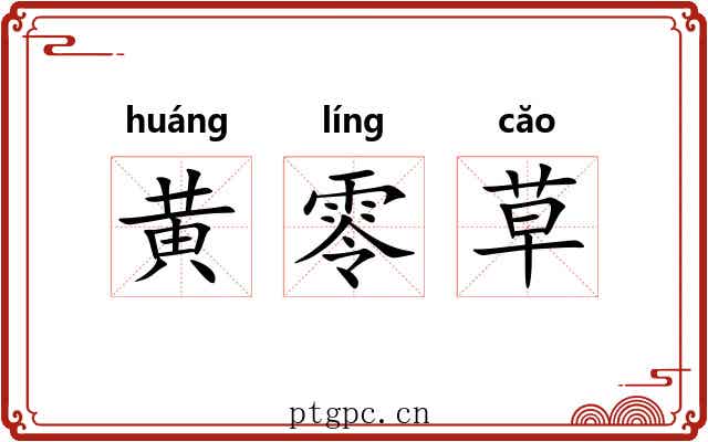 黄零草