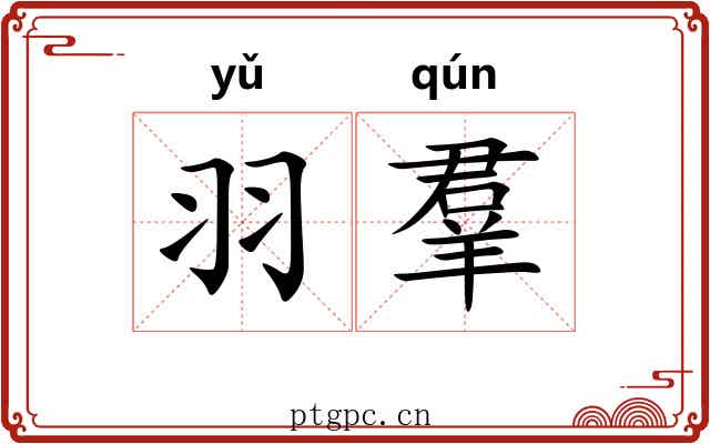 羽羣