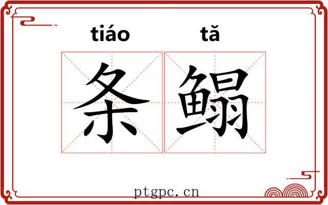 条鳎 条鳎