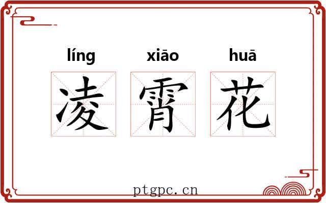 凌霄花
