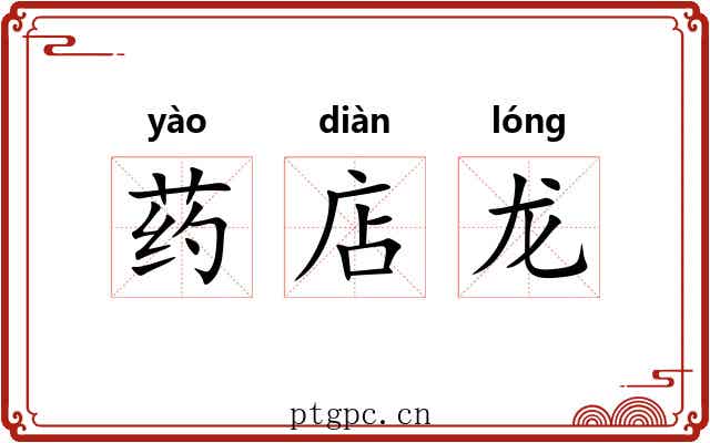 药店龙