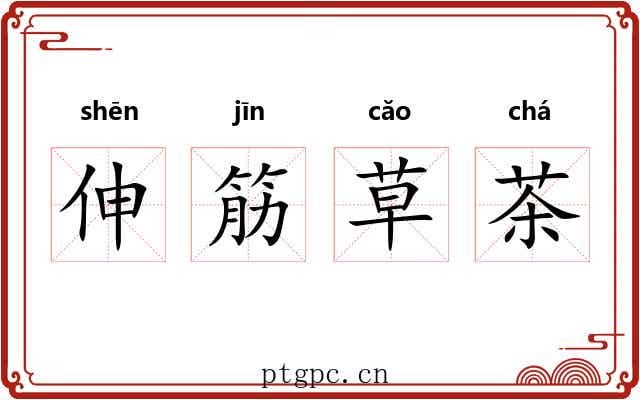 伸筋草茶